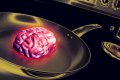 ai-brain-fry.jpg