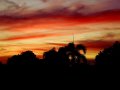 20260418_200047.jpg