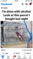 1777436934048.png