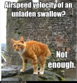 airspeed.png