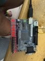 IMG_1350.jpeg