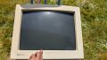 PXL_20260509_195551989.jpg