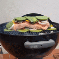 WhatsApp Video 2026-05-16 at 17.23.07.gif