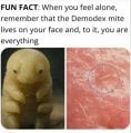 1783094674284.jpeg
