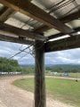 IMG_2784.jpeg