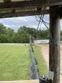 IMG_2785.jpeg