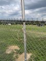 IMG_2849.jpeg