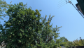 1786072813941.png