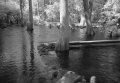 salto del tigre 1.jpg
