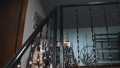 cat-break-in.gif