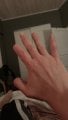 IMG_1589.jpeg IMG_1589.jpeg