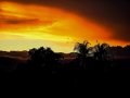 20260917_192550.jpg