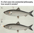 1789847948509.png