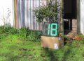 digits.JPG