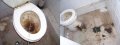 badtoilet.jpg