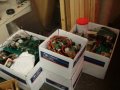 DSC04545.JPG