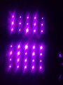 291934_138111989664153_2064331107_n.jpg