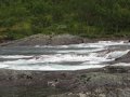 IMG_1833.jpg