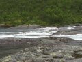 IMG_1832.jpg