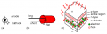 LEDs.PNG