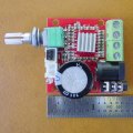 PAM8610 Amp Photo (lo res).jpg