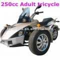 New_250cc_Trike.jpg