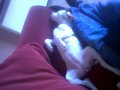 IMG00379-20130217-1550.jpg