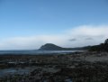 IMG_1585.jpg