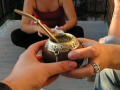 mate y bombilla.png