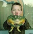 frog.jpg