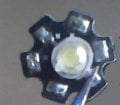 Photo_00001.jpg