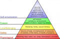 320px-Maslow's_hierarchy_of_needs[1].png