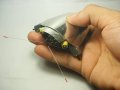 S2010880.JPG
