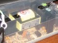 power supply 01-2.jpg