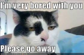 untitled.png