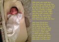 little lamb2.jpg
