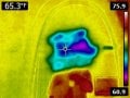 FLIR0136.jpg
