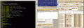 AAesp06.gif