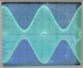 temp 04.gif