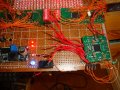 DSC02297.jpg