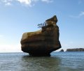 rock_in_ocean_NZ~2.jpg