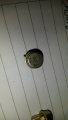 20141011_041528.jpg