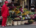 flowers.jpg