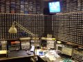 SDC10338.JPG