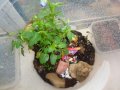 DSC02947.jpg