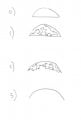 shapes1.jpg