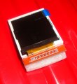 DSC03146.jpg