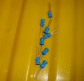 DSC03329.jpg