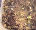 DSC03360.jpg