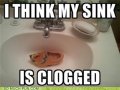 VH-funny-puns-sink-is-clogged.jpg